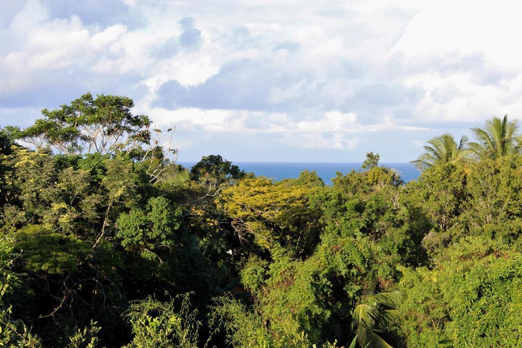 Novos Baianos E Porto Seguro